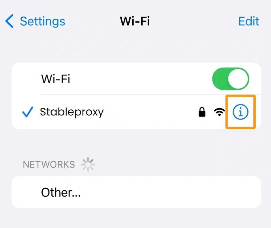How to set up a proxy server on iPhone or iPad - StableProxy