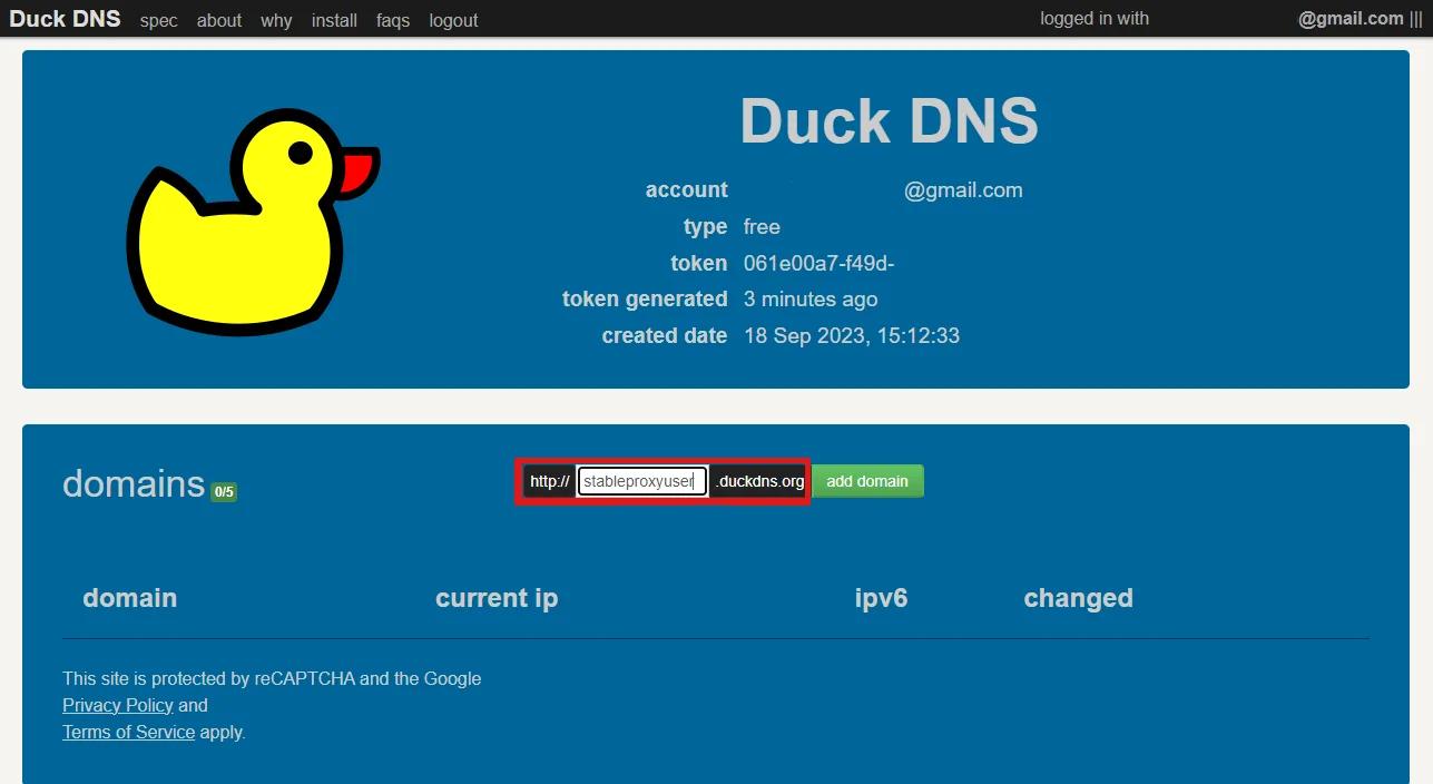 Duck DNS для авторизации - Инструкция по использованию прокси