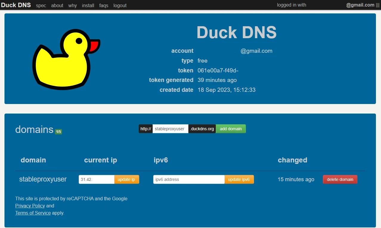 Duck DNS для авторизации - Инструкция по использованию прокси
