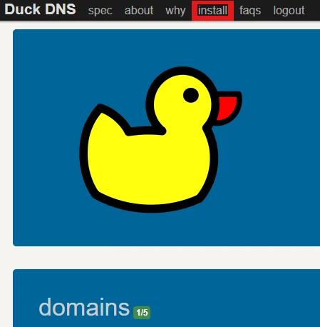 Duck DNS для авторизации - Инструкция по использованию прокси